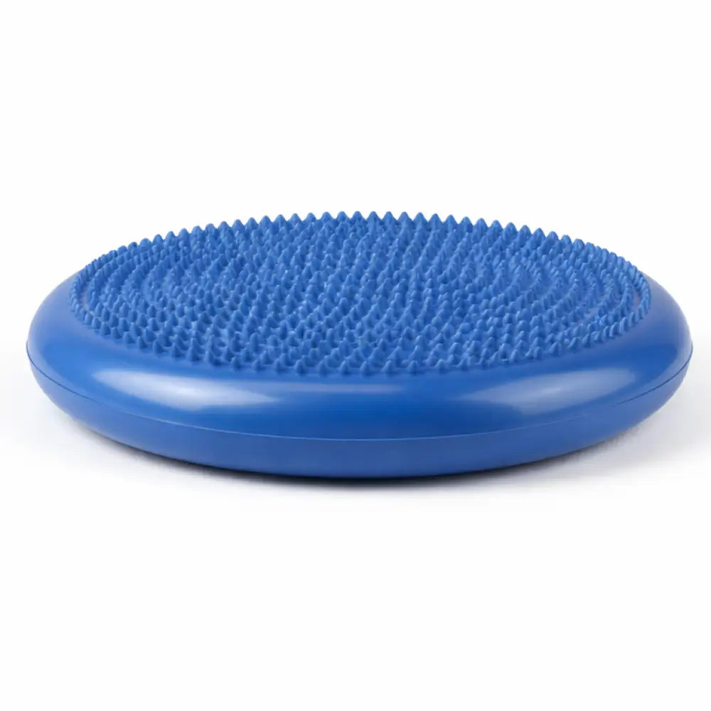 Disco de Equilíbrio Inflável PVC 35cm Incluo